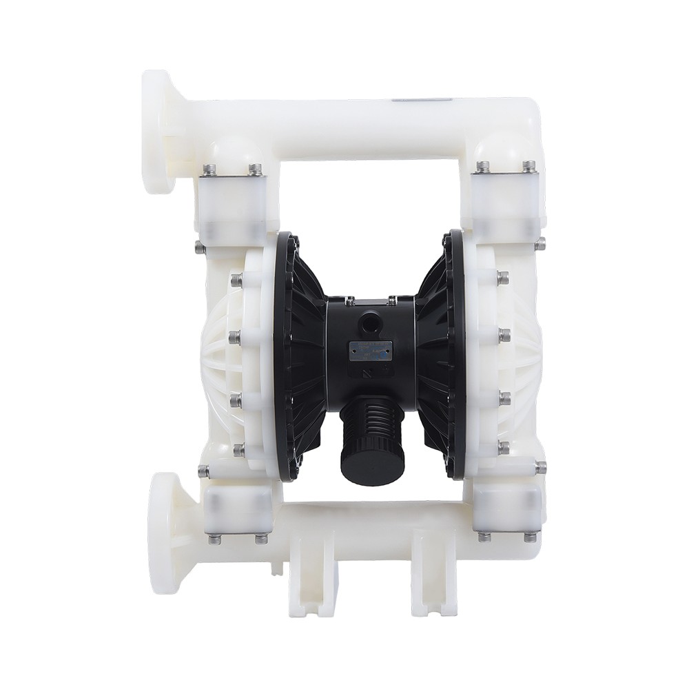 2" PVDF diaphragma sentinam