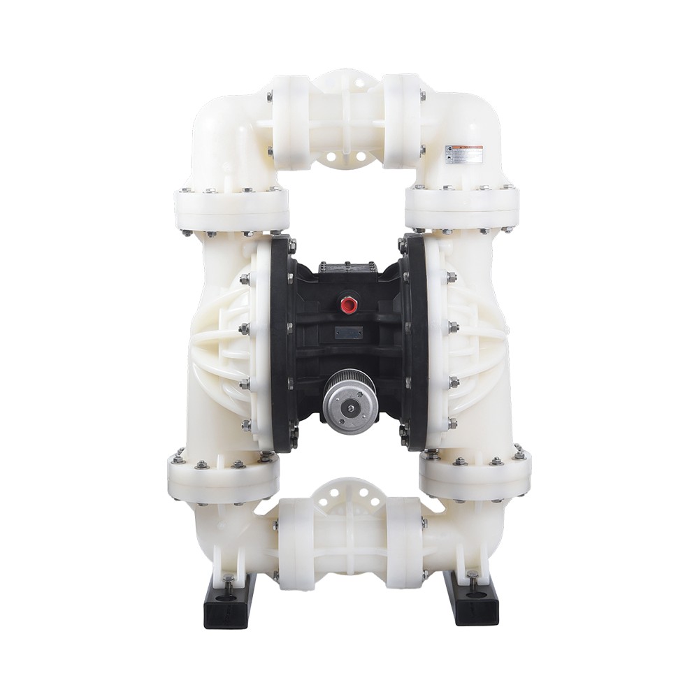 3" PVDF diaphragma laoreet
